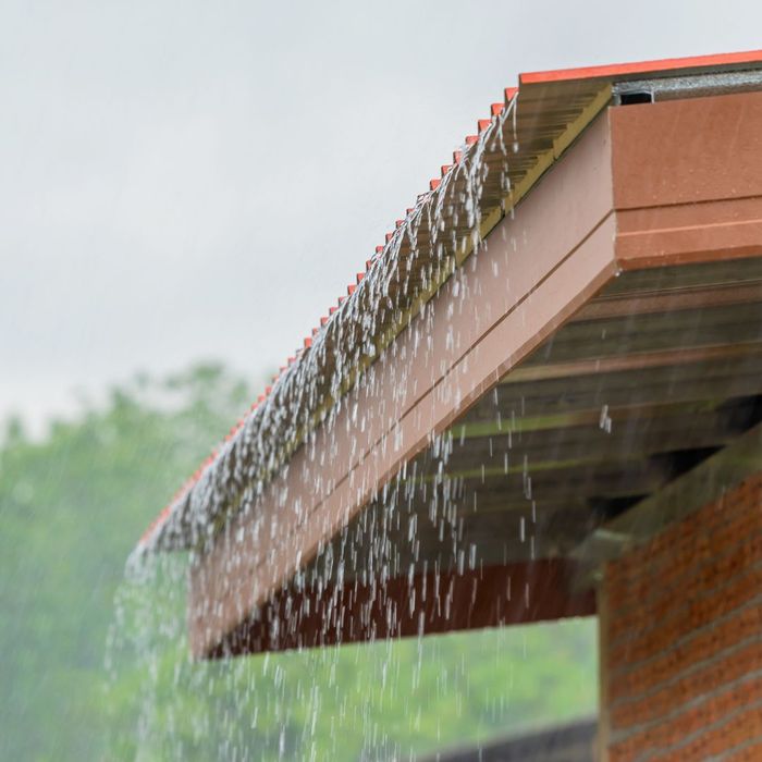 rain hitting roof